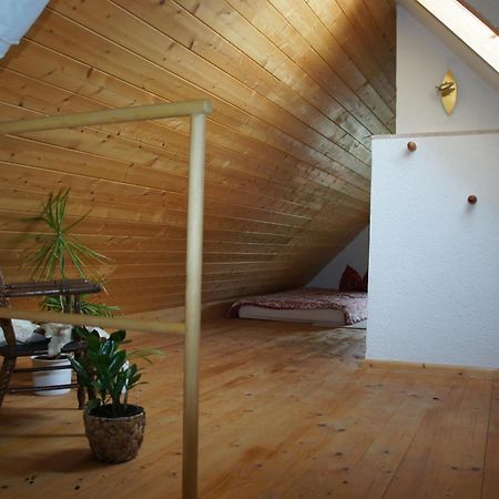Schwalbennest Kaisitz Apartamento Exterior foto